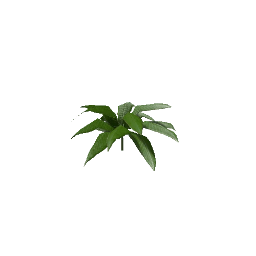 Tropical Plant 2 (Type 2)